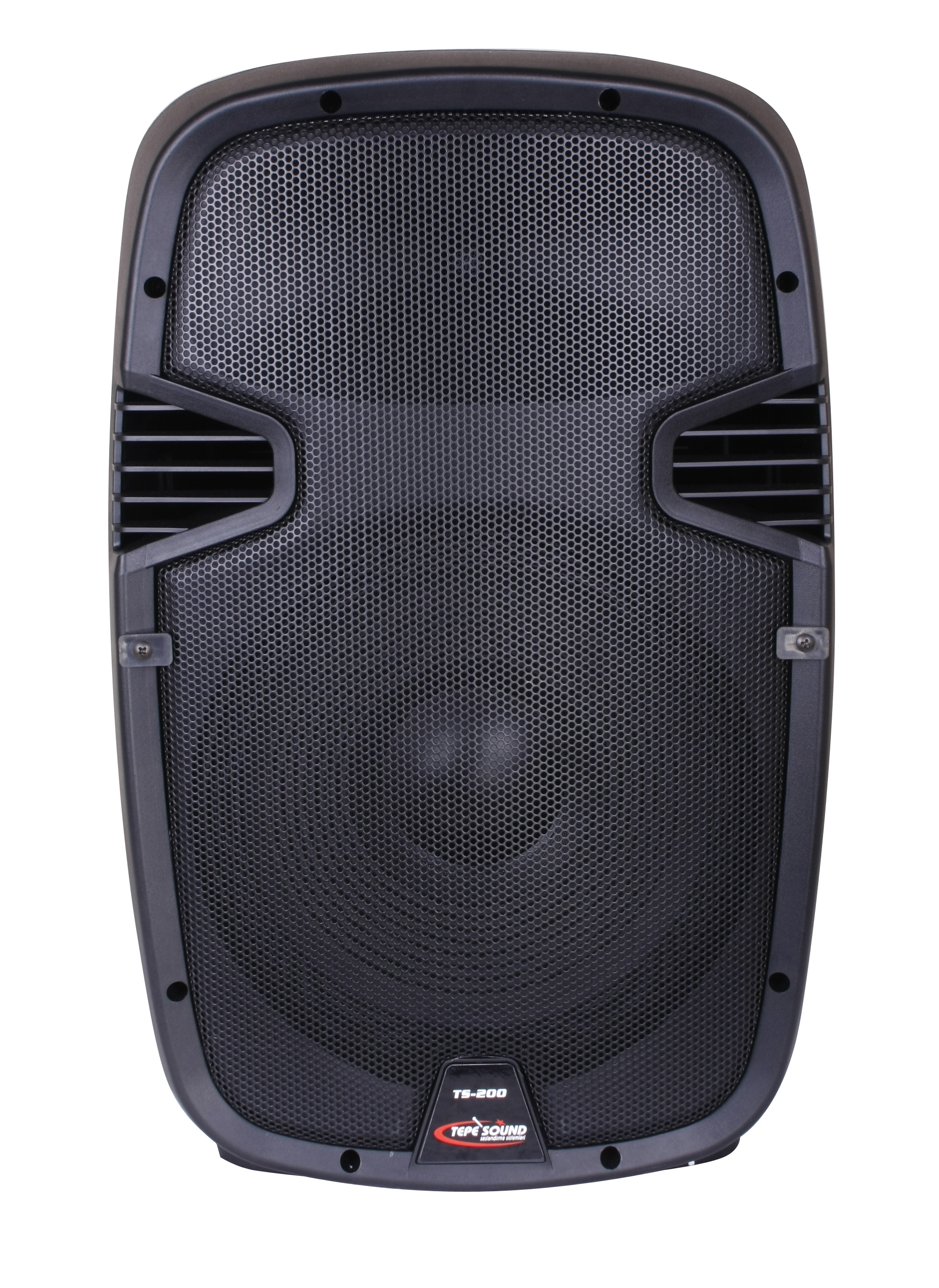 Tepe Sound TS-100 Echo