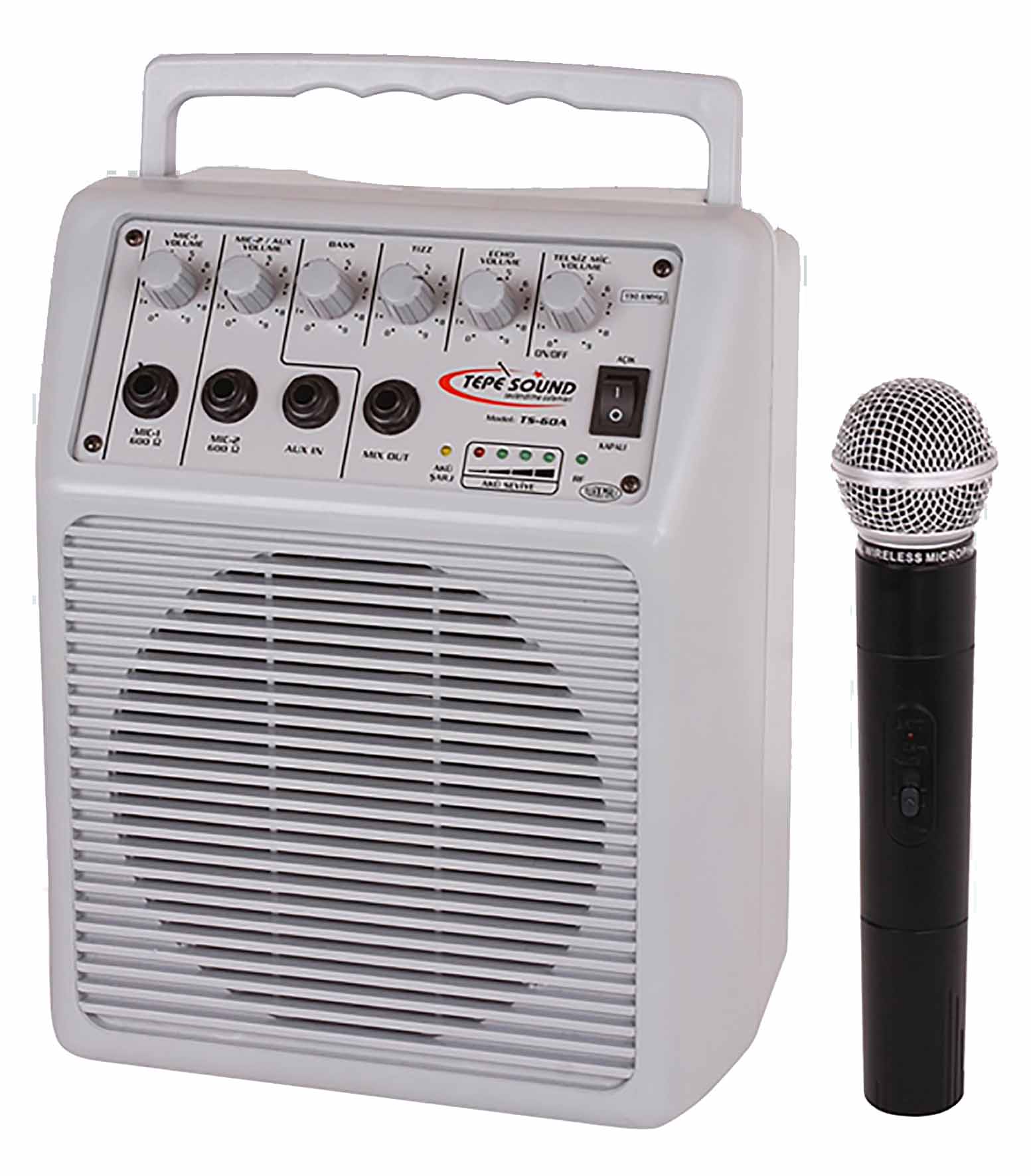 Tepe Sound TS-100 Echo